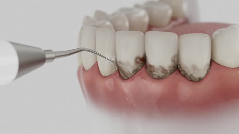 Reliable Dental contractor in Beloit, OH by Dentist Open Now